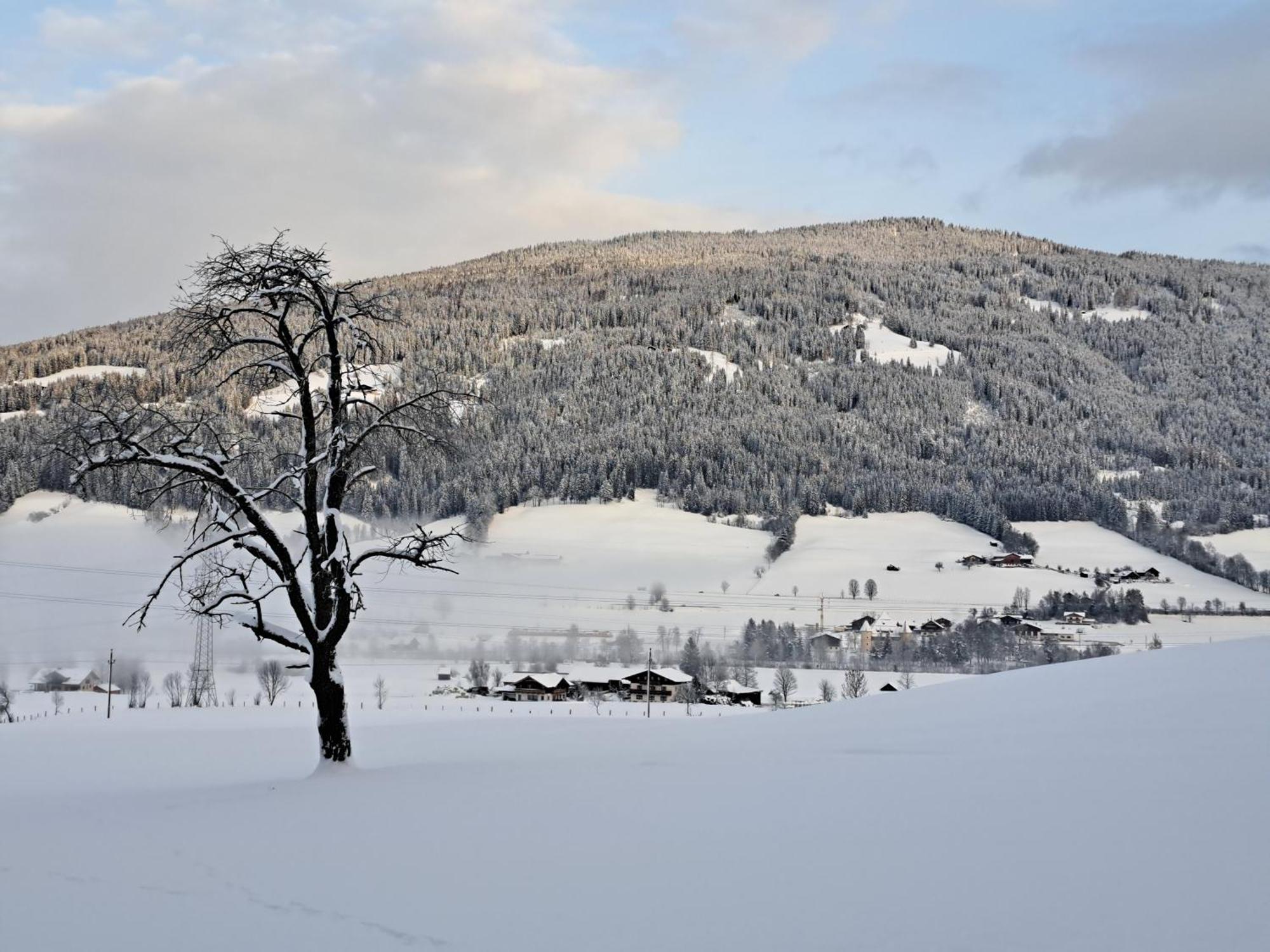 Palfengut Apartment Altenmarkt im Pongau Luaran gambar