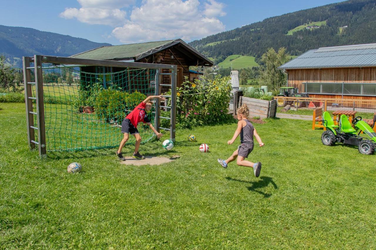 Palfengut Apartment Altenmarkt im Pongau Luaran gambar